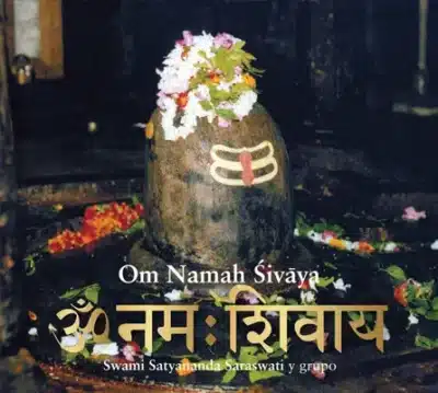 Om-Namah-Shivaya