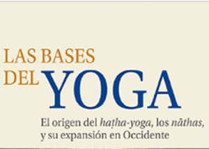 las-bases-del-yoga-libro