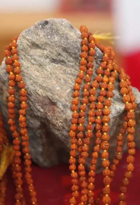 Mala de rudraksha - Imagen 3