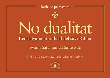 Retir de primavera sobre no dualitat: l'ensenyament del savi Ribhu amb Swami Satyananda Saraswati