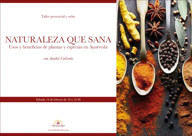 Usos y beneficios de plantas y especias en Ayurveda