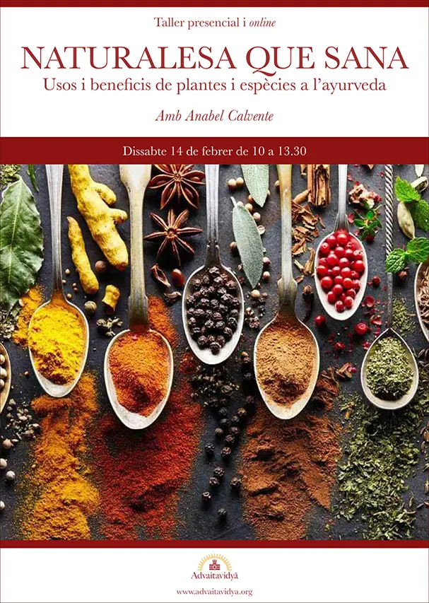 Usos i beneficis de plantes i espècies a l'ayurveda