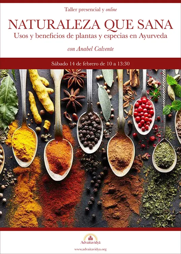 Usos y beneficios de plantas y especias en Ayurveda