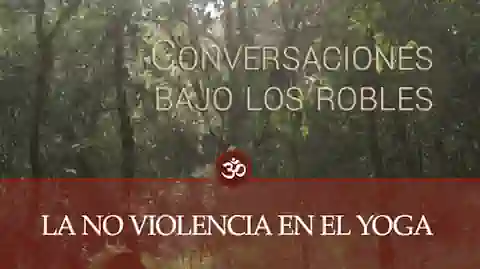 La no violencia en el yoga